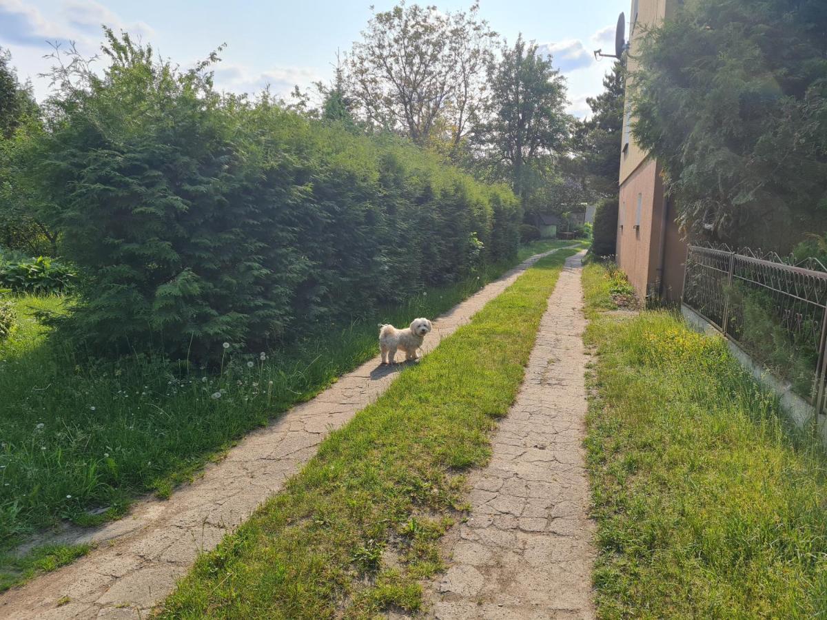 Julia Farm stay Czeremcha